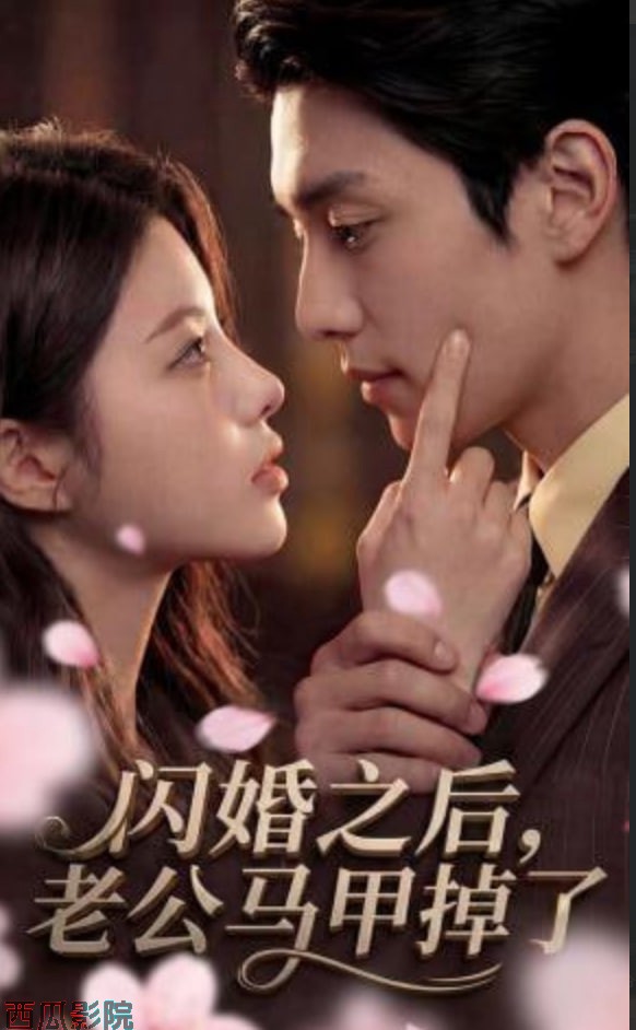 闪婚之后，老公马甲掉了