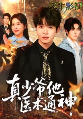 真少爷他医术通神