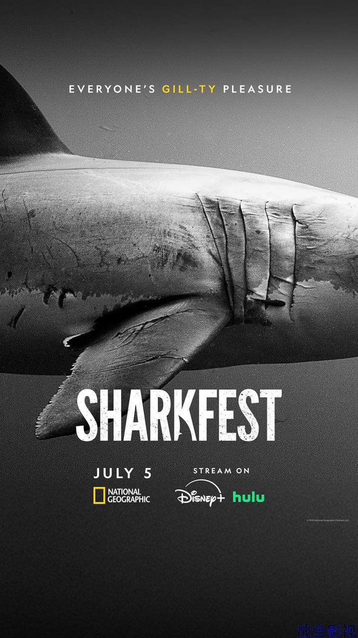 鲨鱼袭击事件调查